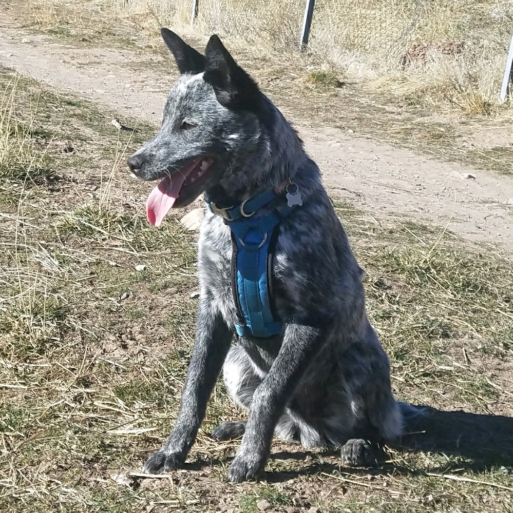 Meet your Posher, Garrett